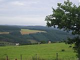 06_Rambrouch_Ardenner_Trail_02_08_08.jpg