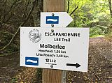 085_Bourscheid_Moulin-Hoscheid_Escapardenne_Trail_15_09_17.jpg