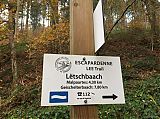 09_Hoscheid-Kautenbach_Escapardenne_Trail_02_11_17.jpg