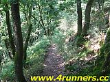 10_Rambrouch_Ardenner_Trail_02_08_08.jpg