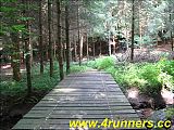 12_Rambrouch_Ardenner_Trail_02_08_08.jpg